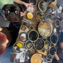 통털어샤브 이미지