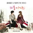세라투