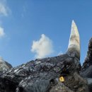 자이언트텔레콤 이미지