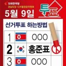 북한 인공기 넣은 투표독려 이미지 인터넷 게시 무혐의 처분 이미지