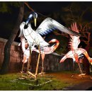 남강오리알 이미지