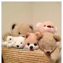 바우바우 이미지