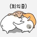 흑석임치과의원 | ONA 촬영후기 (김유진 실장님)B타입,아이폰스냅추가