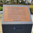 등촌샤브샤브칼국수 | 서울 시청역 맛집 내돈내산 등촌 샤브 샤브 칼국수 후기