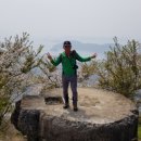 천자봉 농장 이미지