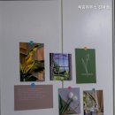 처음하우스강서점 - 4324 | 처음하우스강서점