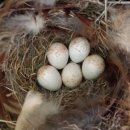 천석농장 이미지