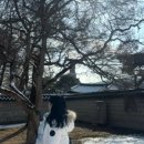 24게스트하우스 전주점 이미지