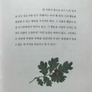 장이익어가는 마을 | [믿음교육111호]한 사람의 의지가 만든 기적, 장지오노의 『나무를 심은 사람』