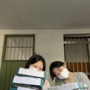 싸다공 이미지