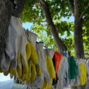 명천체험마을 이미지