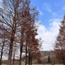 호암미술관 나들이, ‘루이즈 부르주아 : 덧없고 영원한’ 전시 관람 후기, 주차 정보, 호암 카페 메뉴