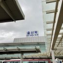 요를레이 스튜디오 | 대구 대명동 펫/가족 전문 [910스튜디오] 에서 견생샷 남기고 왔어요 ◡̈