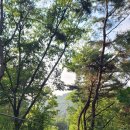 경안천 초부리 이미지