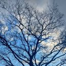 고목목장 이미지