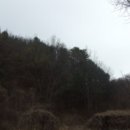 금대리828 이미지