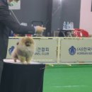 No.1 POM 이미지