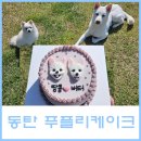 푸플리 케이크 이미지