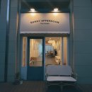 sunny 펫 살롱 이미지