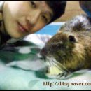 은비까비 네이버블로그