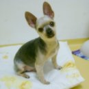 서울길동초등학교 이미지