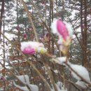 하얀이불 이미지