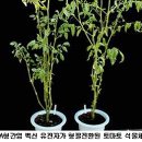 길식품 이미지