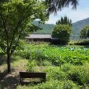 부연공원 이미지