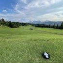 골프 팩트 이미지