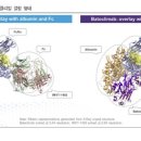 한올바이오파마(주) 이미지