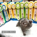 네버랜드 캣 캐터리 이미지