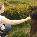 우프동물농장 이미지