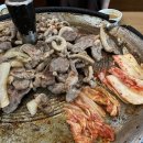 건강한 오리농장 이미지