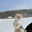 하늘목장 이미지