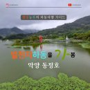 북천 공중화장실 | 별천지 하동을 가봄, 비 내리는 악양 동정호