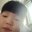 새참하우스 | 토들러하우스 몬테소리 교구 내돈내산 후기