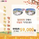 고고안경