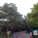 계룡산동학사자동차야영장 이미지