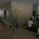 야니소프트 | [후쿠오카여행 2일차] 노부부가 운영하는 일본가정식, 꼼데반팔가격, 우연히 찾은 숨은 술집2곳