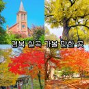 말하는 은행나무 | 경북 칠곡 가볼 만한 곳, 가실 성당 꿀벌 나라 테마공원 말하는 은행나무 송림사 한티 억새마을