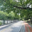 고암생활체육공원 체육공원 이미지