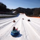 썰매장 이미지