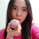 한잎애잔기지떡