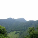 해병농원 이미지