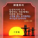 샬롬 Daum카페