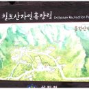 태백고원자연휴양림 이미지