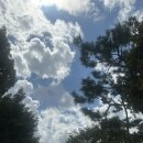 송내대로 388 이미지