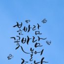 3.25(수)진실이님의 "면"으로 이어갑니다 이미지