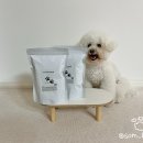 어 페일 블루닷 이미지