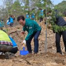 희망나무심기5 이미지